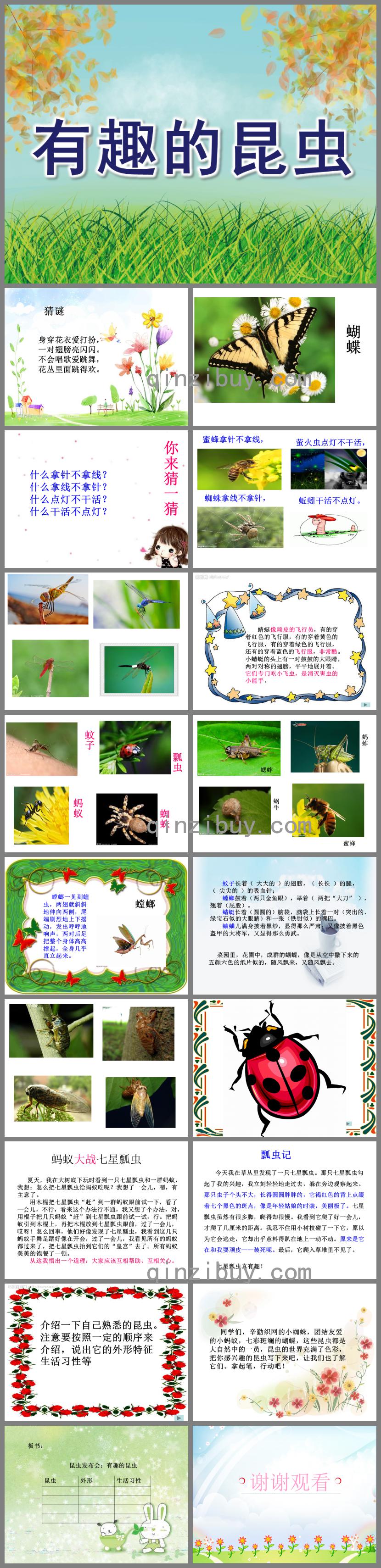 中班有趣的昆蟲PPT課件