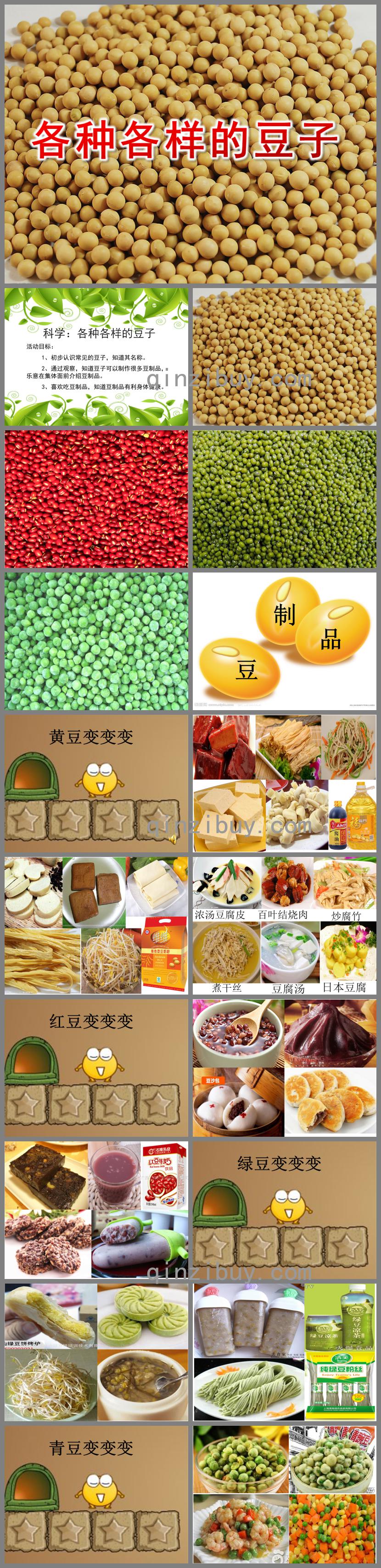 幼兒園科學(xué)各種各樣的豆子PPT課件