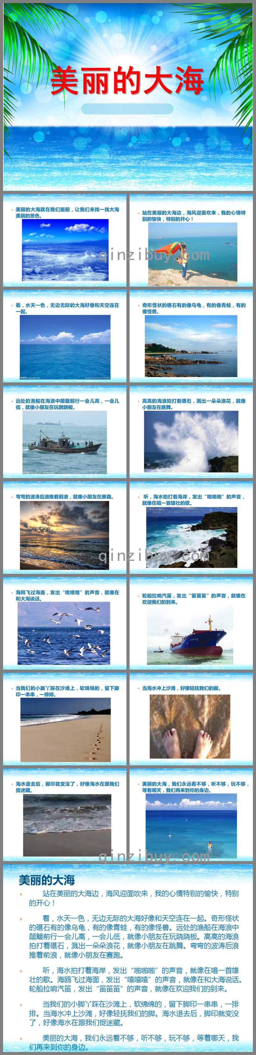 大班語言美麗的大海PPT課件