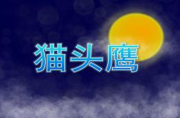 幼兒園美術(shù)貓頭鷹PPT課件