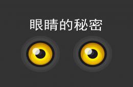 大班健康說課眼睛的秘密PPT課件