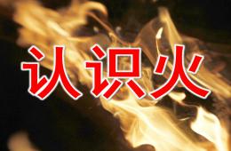 中班社會認識火PPT課件