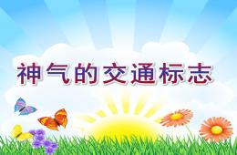 大班社會活動神氣的交通標志PPT課件