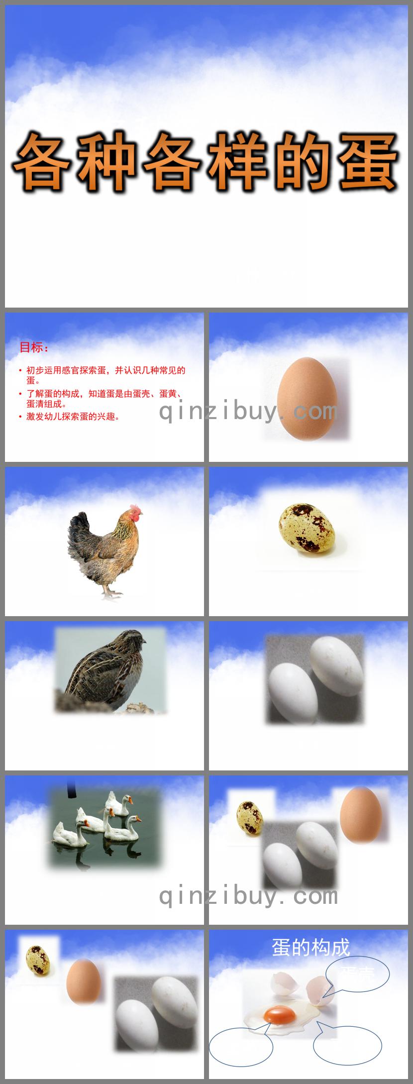中班科學(xué)活動(dòng)各種各樣的蛋PPT課件
