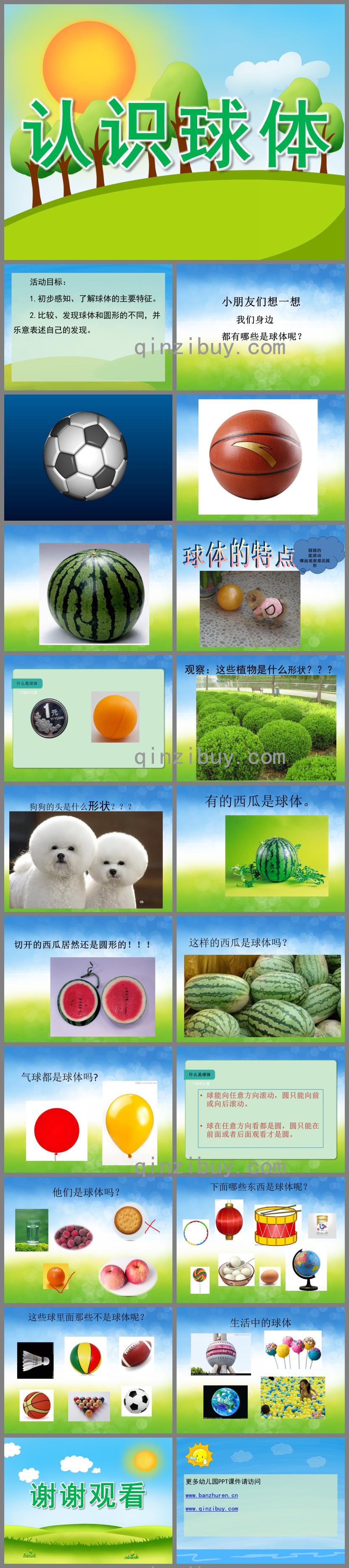大班數(shù)學(xué)認(rèn)識球體PPT課件
