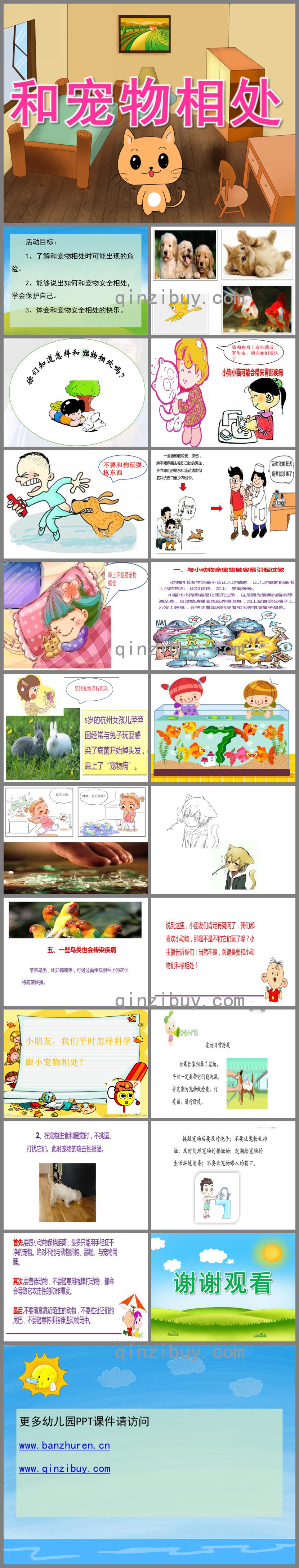 大班安全和寵物相處PPT課件