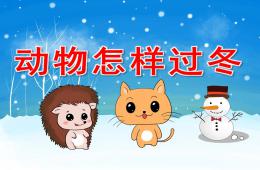 大班科學(xué)動物怎樣過冬PPT課件