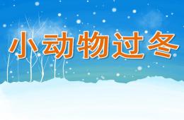 中班科學小動物過冬PPT課件