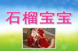 小班美術(shù)石榴寶寶PPT課件