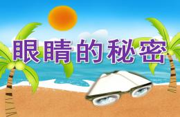 大班健康眼睛的秘密PPT課件