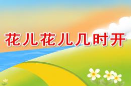 中班科學(xué)花兒花兒幾時(shí)開(kāi)PPT課件