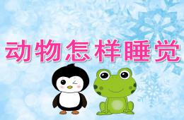 大班科學動物怎樣睡覺PPT課件
