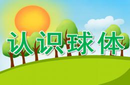 大班數(shù)學(xué)認識球體PPT課件