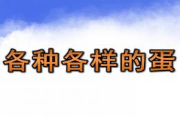 中班科學活動各種各樣的蛋PPT課件