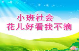小班社會花兒好看我不摘PPT課件