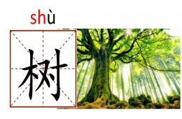 幼兒園學前班識字樹葉PPT課件