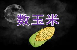 大班數學數玉米PPT課件