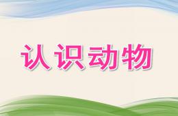 小班科學認識動物PPT課件