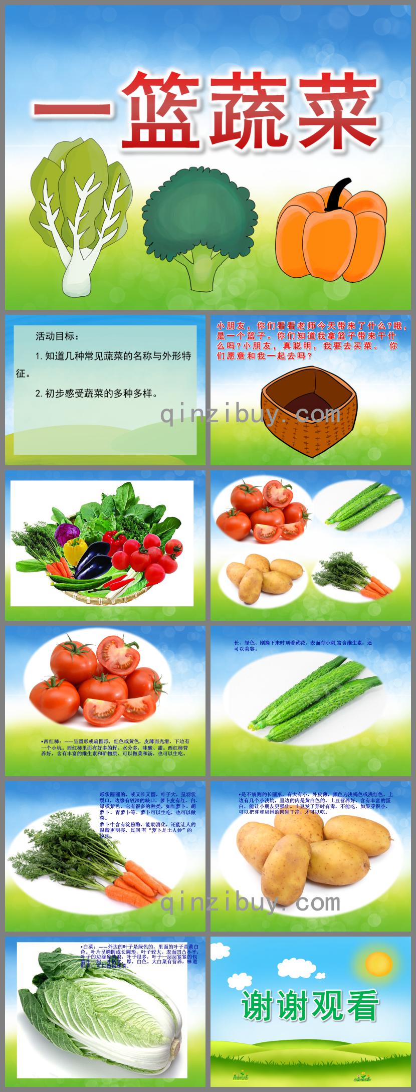 中班科學(xué)一籃蔬菜PPT課件