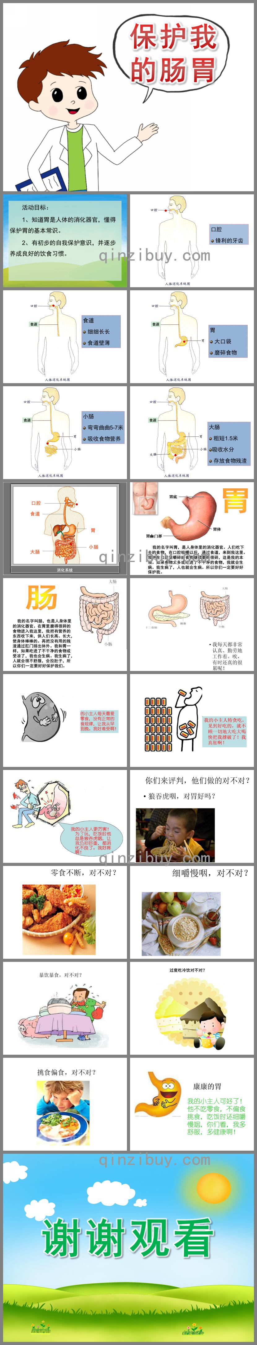 大班健康保護我的腸胃PPT課件