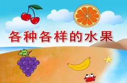 中班科學各種各樣的水果PPT課件