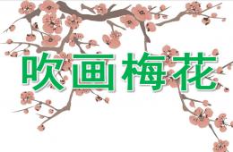 大班美術(shù)課件吹畫梅花PPT課件