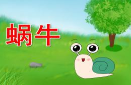中班科學蝸牛PPT課件