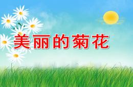 大班美術卷紙美麗的菊花PPT課件音樂