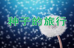 大班科學種子的旅行PPT課件