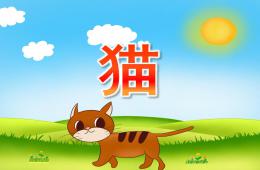 小班科學(xué)貓PPT課件