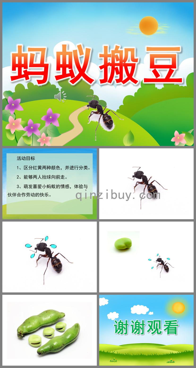 中班音樂螞蟻搬豆PPT課件歌曲