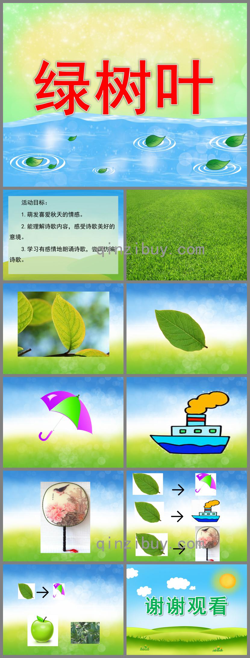 中班語(yǔ)言綠樹(shù)葉PPT課件