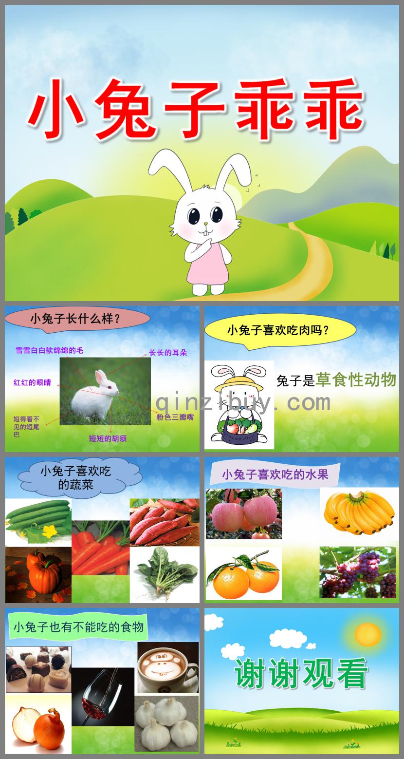 中班科學小兔子乖乖PPT課件