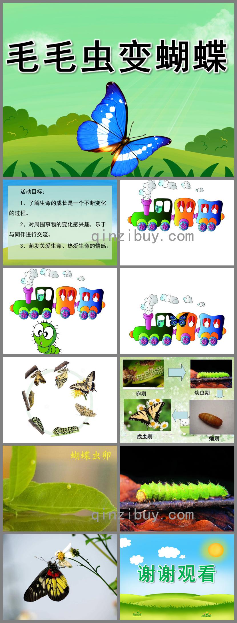 小班科學公開課毛毛蟲變蝴蝶PPT課件