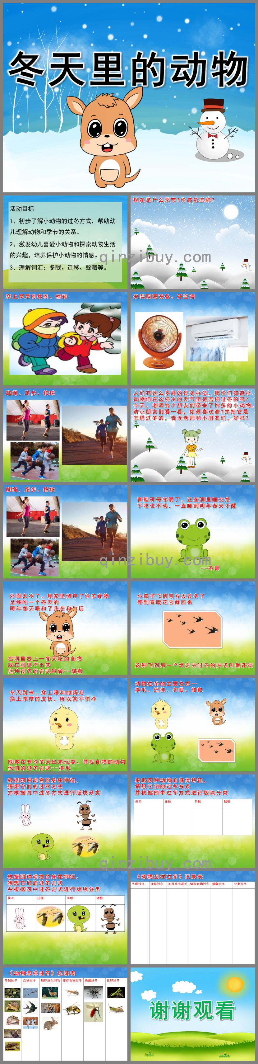 大班科學(xué)冬天里的動物PPT課件