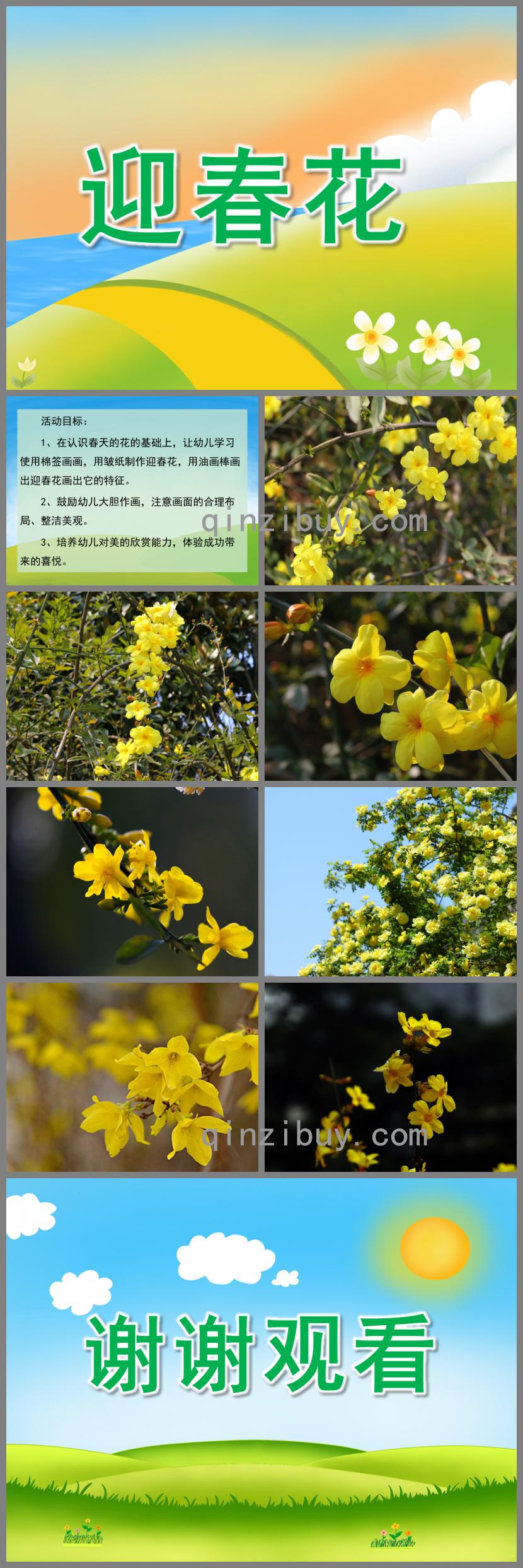 小班美術(shù)迎春花PPT課件
