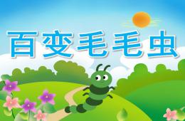 中班數學百變毛毛蟲PPT課件