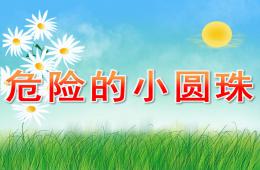 小班安全危險的小圓珠PPT課件