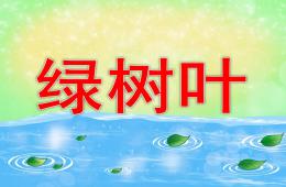 中班語言綠樹葉PPT課件
