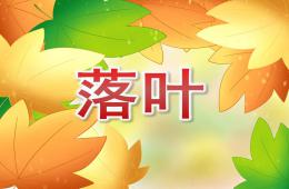 大班語言散文詩落葉PPT課件錄音