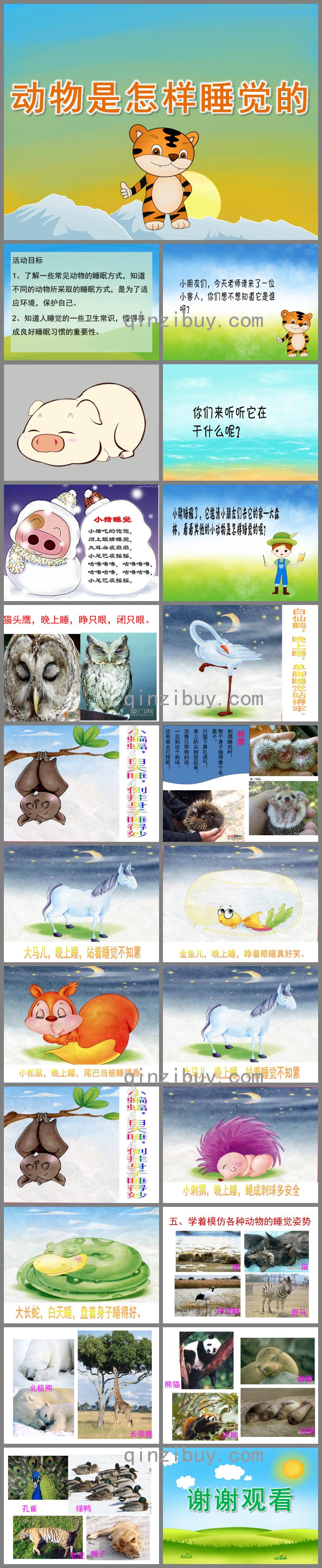 中班科學動物是怎樣睡覺的PPT課件