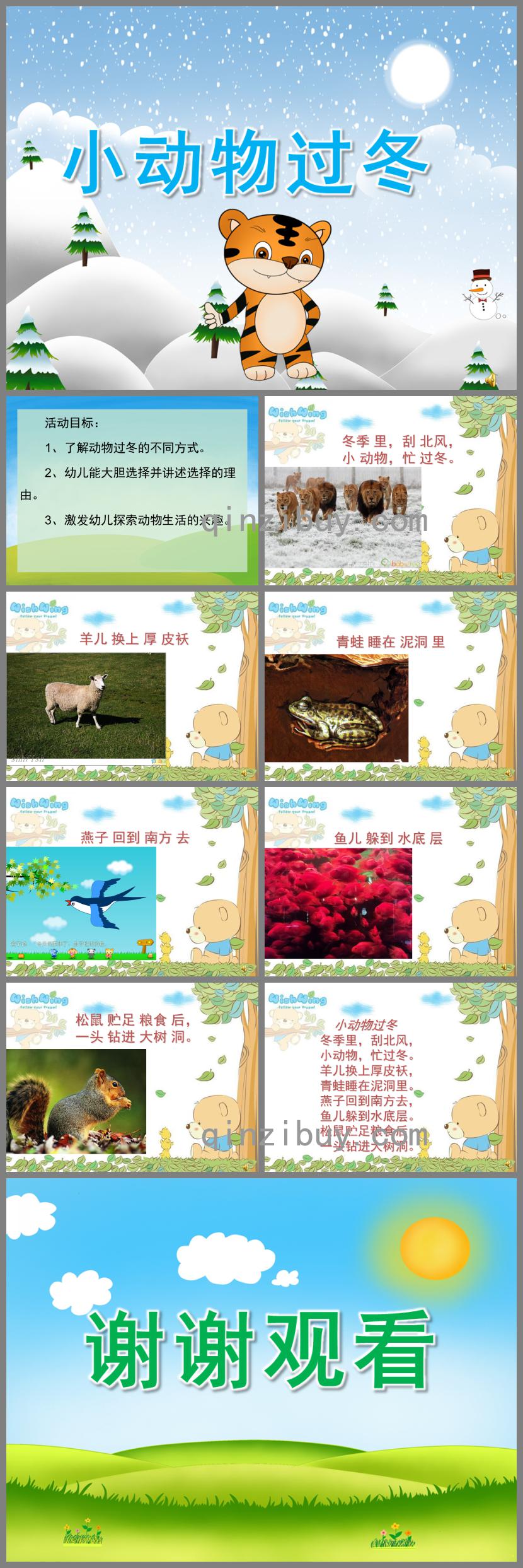 中班科學小動物過冬PPT課件配音