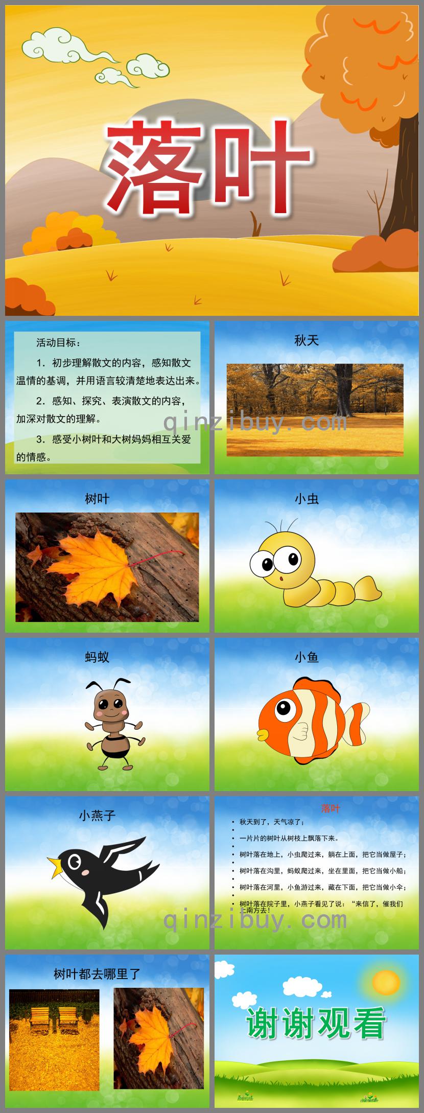 大班語言活動落葉PPT課件