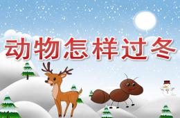 大班科學(xué)動物怎樣過冬PPT課件