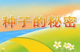 大班科學(xué)種子的秘密PPT課件