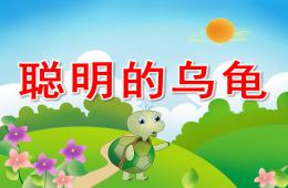 學(xué)前班故事聰明的烏龜PPT課件