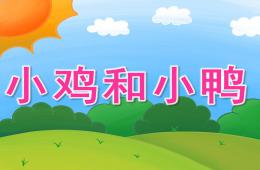小班科學活動小雞和小鴨PPT課件音頻