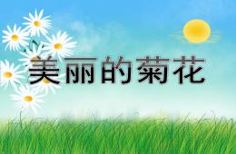 中班美麗的菊花PPT課件