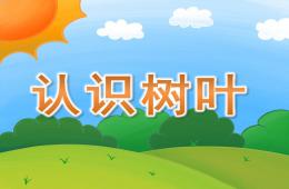 大班數(shù)學(xué)認識日歷PPT課件