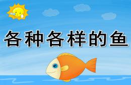 幼兒園科學(xué)認(rèn)知各種各樣的魚(yú)PPT課件